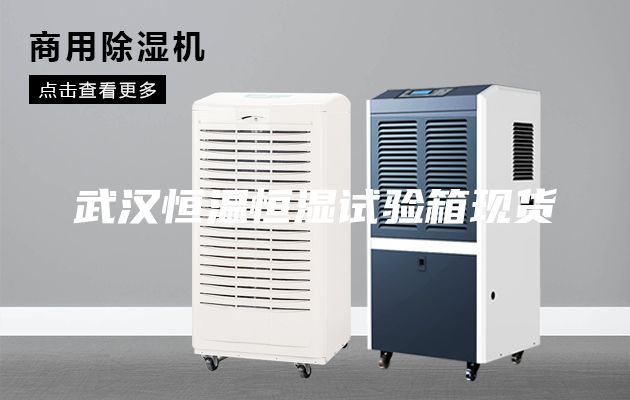 武汉恒温恒湿试验箱现货