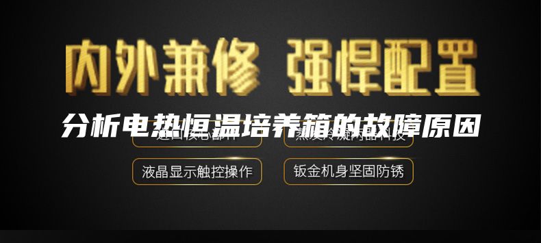 分析电热恒温培养箱的故障原因