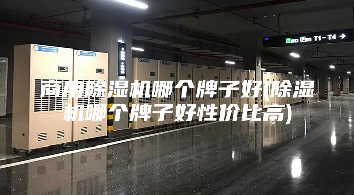 商用除湿机哪个牌子好(除湿机哪个牌子好性价比高)
