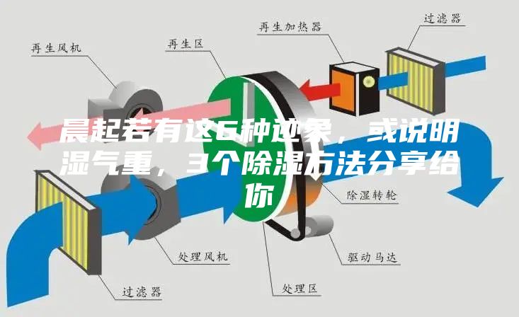 晨起若有这6种迹象，或说明湿气重，3个除湿方法分享给你
