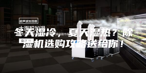 冬天湿冷，夏天湿热？除湿机选购攻略送给你！