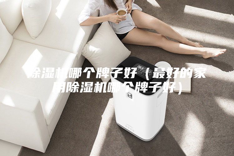 除湿机哪个牌子好（最好的家用除湿机哪个牌子好）