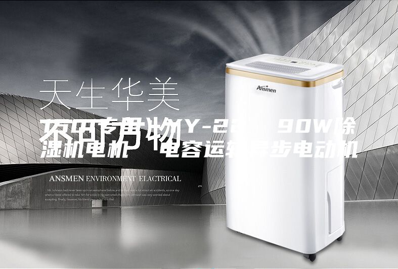 1501专用）YY-22  90W除湿机电机  电容运转异步电动机