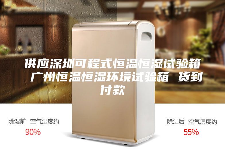 供应深圳可程式恒温恒湿试验箱 广州恒温恒湿环境试验箱 货到付款