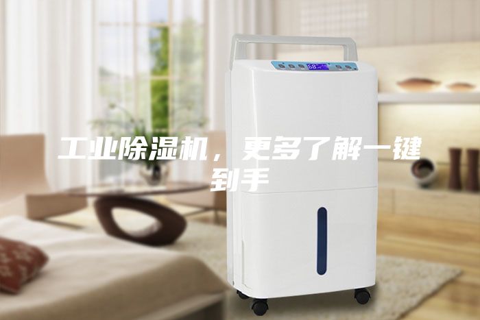 工业除湿机，更多了解一键到手