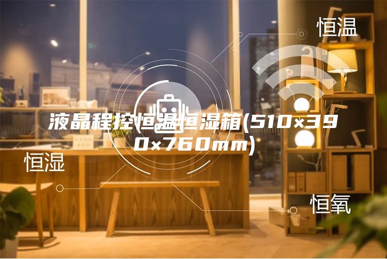 液晶程控恒温恒湿箱(510×390×760mm)