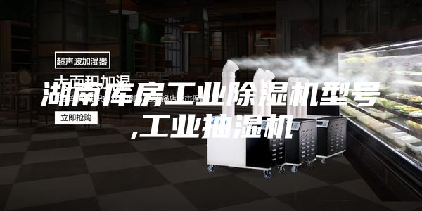 湖南库房工业除湿机型号,工业抽湿机