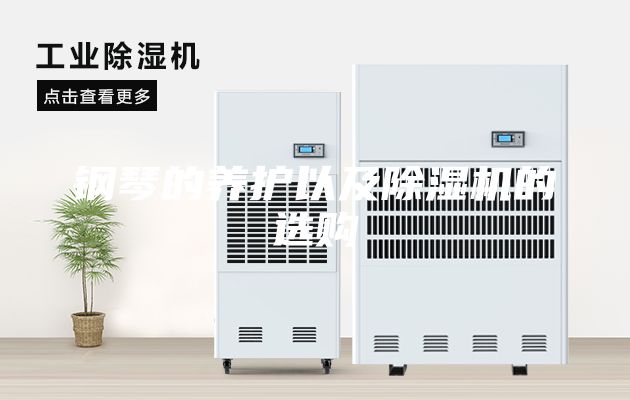 钢琴的养护以及除湿机的选购