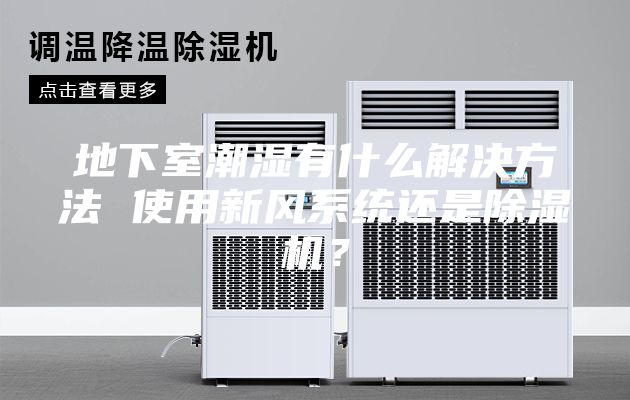 地下室潮湿有什么解决方法 使用新风系统还是除湿机？
