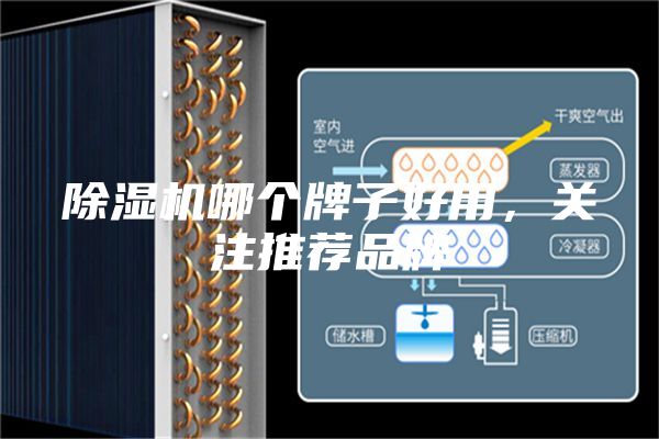 除湿机哪个牌子好用，关注推荐品牌