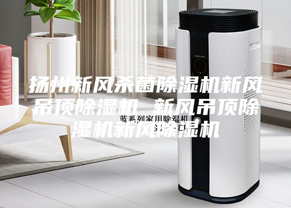 扬州新风杀菌除湿机新风吊顶除湿机 新风吊顶除湿机新风除湿机