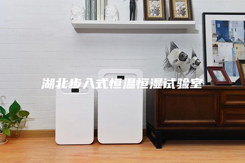 湖北步入式恒温恒湿试验室