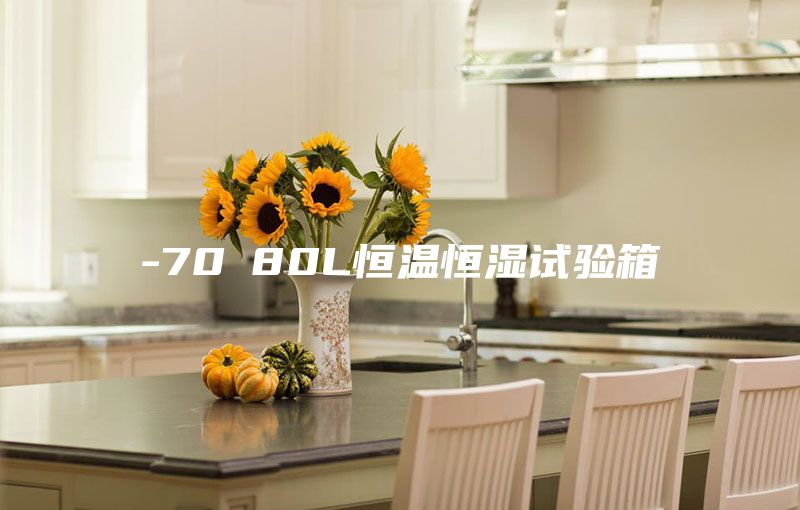 -70℃80L恒温恒湿试验箱