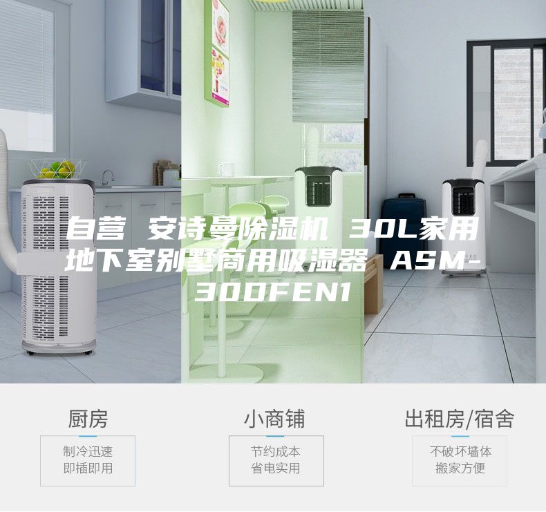 自营 安诗曼除湿机 30L家用地下室别墅商用吸湿器 ASM-30DFEN1