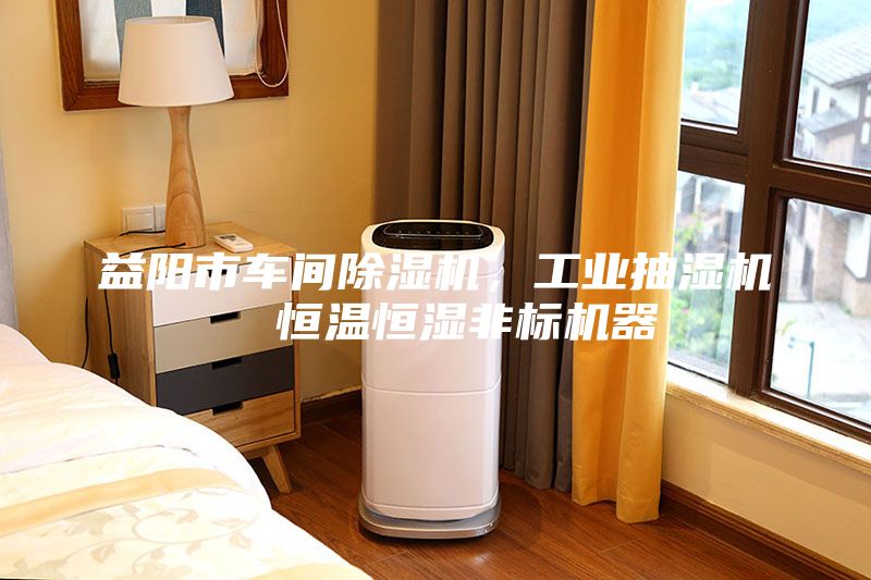 益阳市车间除湿机，工业抽湿机  恒温恒湿非标机器