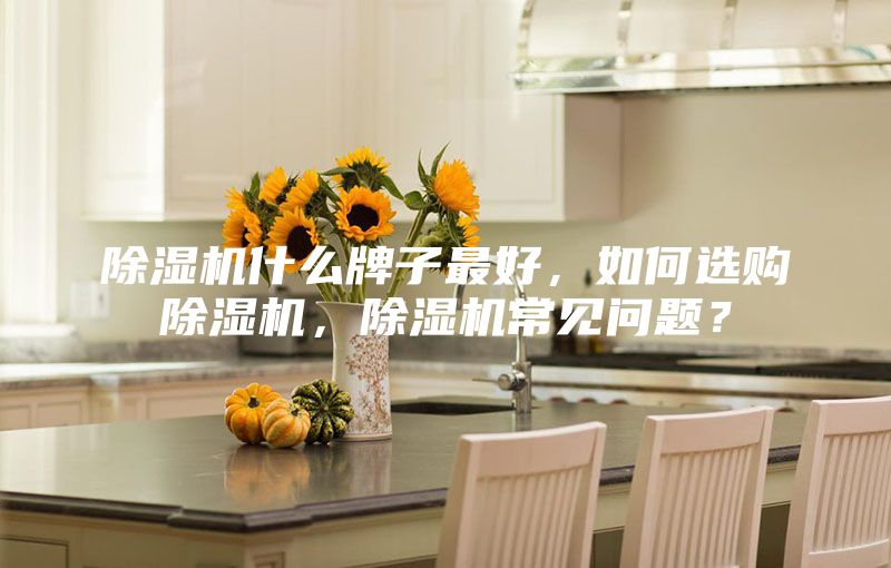 除湿机什么牌子最好，如何选购除湿机，除湿机常见问题？