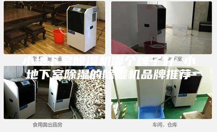 小地下室除湿机哪个牌子好 小地下室除湿的除湿机品牌推荐
