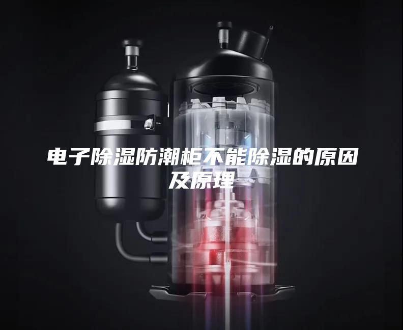电子除湿防潮柜不能除湿的原因及原理