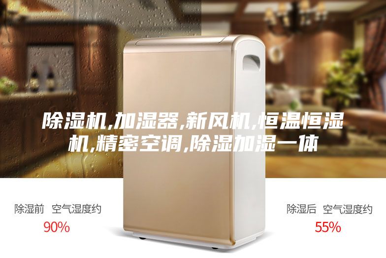 除湿机,加湿器,新风机,恒温恒湿机,精密空调,除湿加湿一体