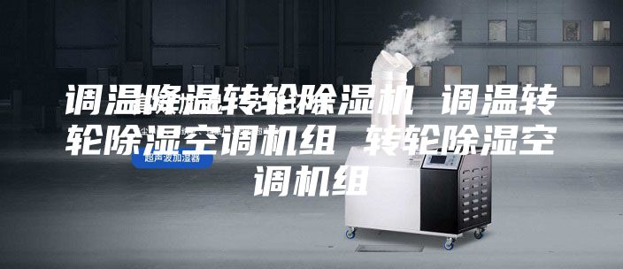 调温降温转轮除湿机 调温转轮除湿空调机组 转轮除湿空调机组