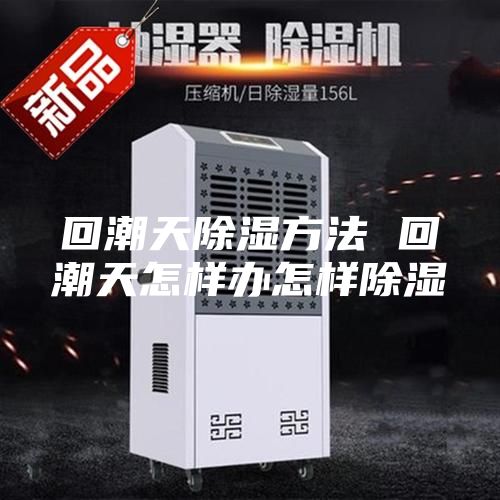 回潮天除湿方法 回潮天怎样办怎样除湿
