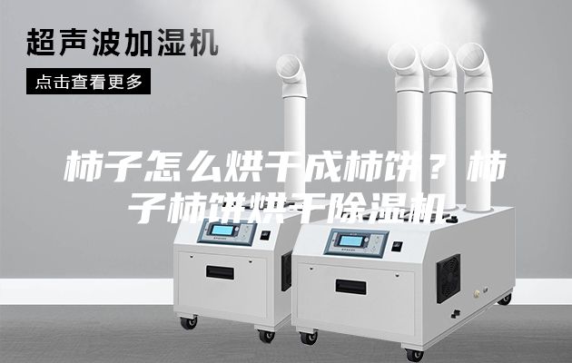 柿子怎么烘干成柿饼？柿子柿饼烘干除湿机