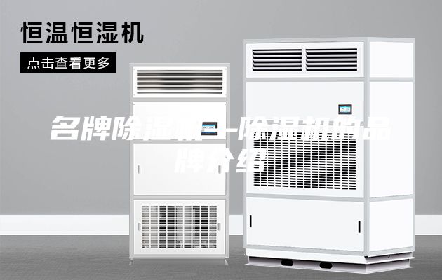 名牌除湿机—除湿机的品牌介绍
