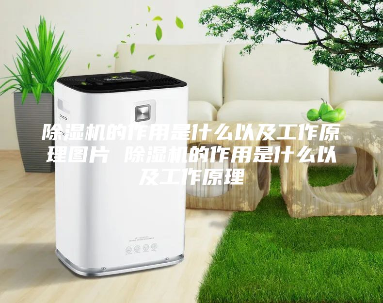除湿机的作用是什么以及工作原理图片 除湿机的作用是什么以及工作原理