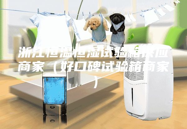 浙江恒温恒湿试验箱供应商家（好口碑试验箱商家）