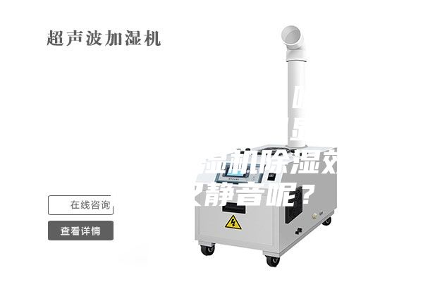 买了一台除湿机，噪音很大，除湿效果不明显，哪个牌子的除湿机除湿效果好，又静音呢？