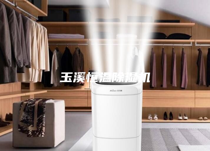 玉溪恒温除湿机