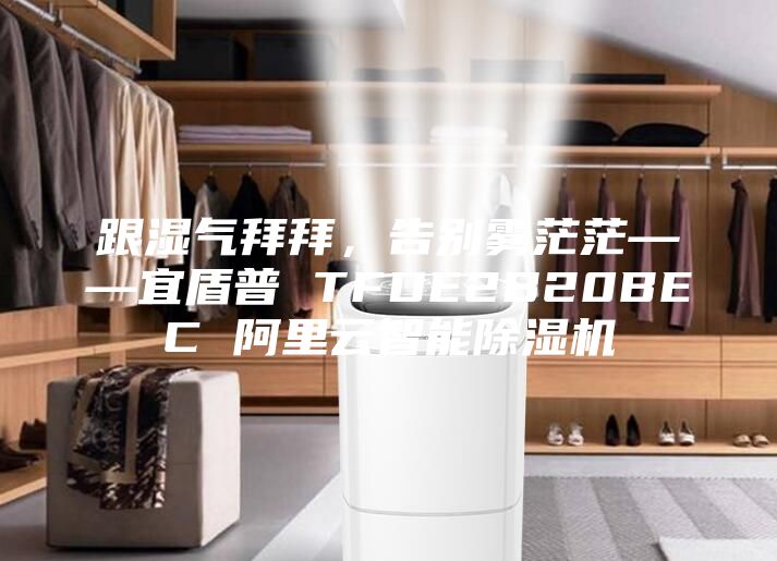 跟湿气拜拜，告别雾茫茫——宜盾普 TFDE2B20BEC 阿里云智能除湿机