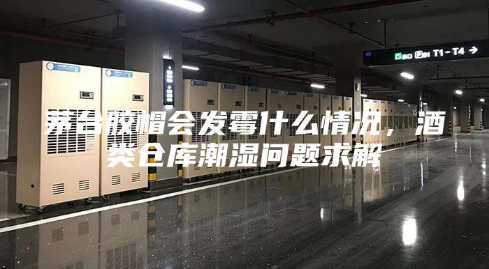 茅台胶帽会发霉什么情况，酒类仓库潮湿问题求解