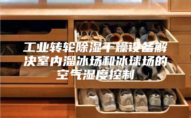 工业转轮除湿干燥设备解决室内溜冰场和冰球场的空气湿度控制