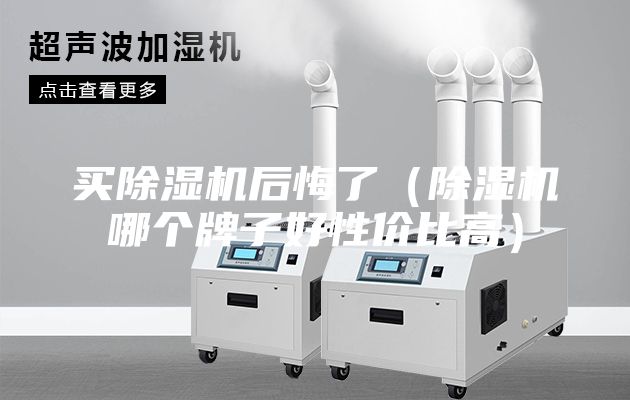 买除湿机后悔了（除湿机哪个牌子好性价比高）