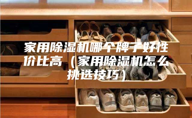 家用除湿机哪个牌子好性价比高（家用除湿机怎么挑选技巧）