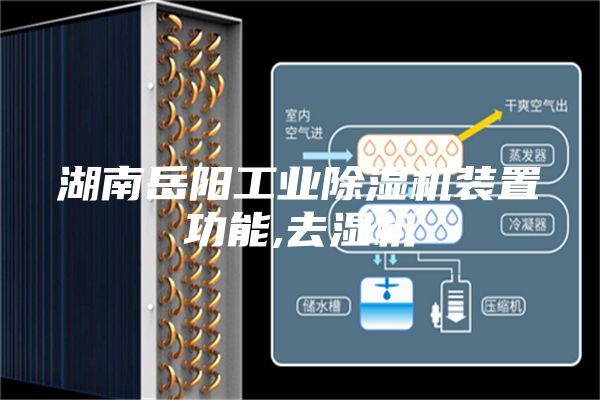 湖南岳阳工业除湿机装置功能,去湿机