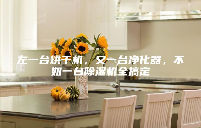 左一台烘干机，又一台净化器，不如一台除湿机全搞定