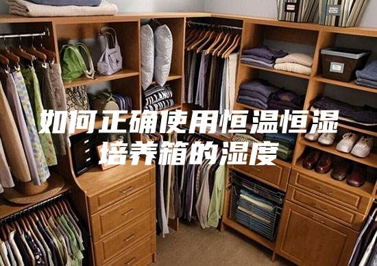 如何正确使用恒温恒湿培养箱的湿度