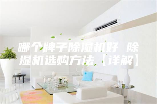 哪个牌子除湿机好 除湿机选购方法【详解】