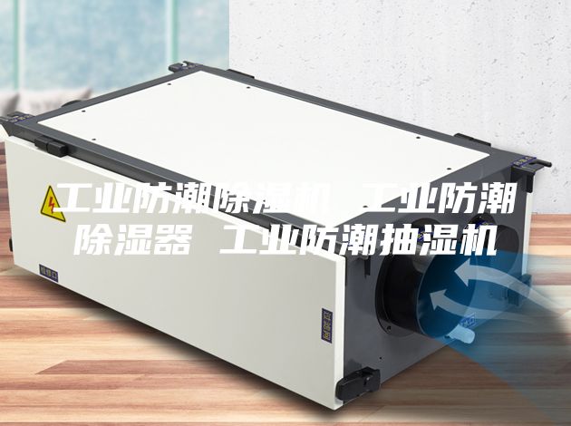 工业防潮除湿机 工业防潮除湿器 工业防潮抽湿机