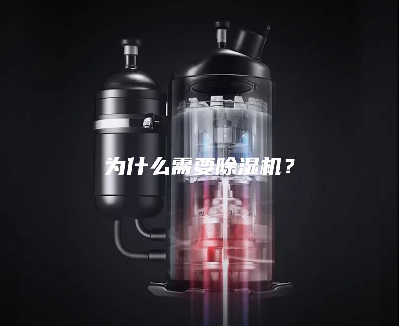 为什么需要除湿机？