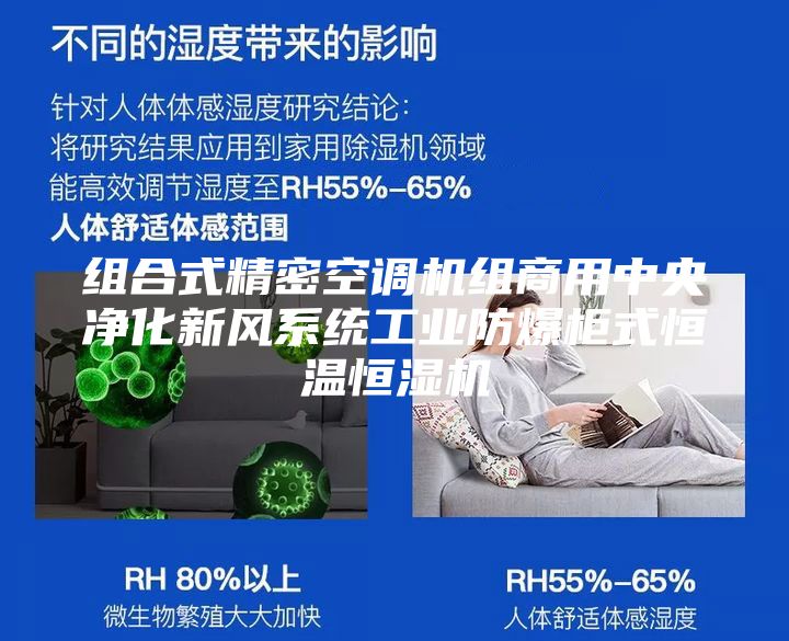 组合式精密空调机组商用中央净化新风系统工业防爆柜式恒温恒湿机