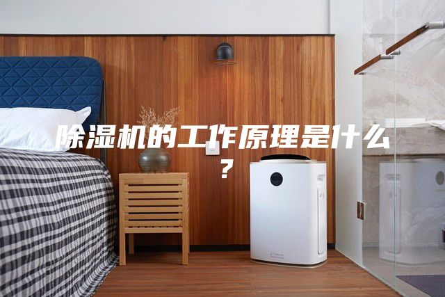 除湿机的工作原理是什么？
