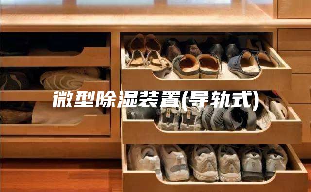 微型除湿装置(导轨式)