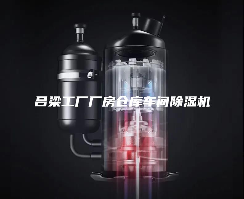 吕梁工厂厂房仓库车间除湿机