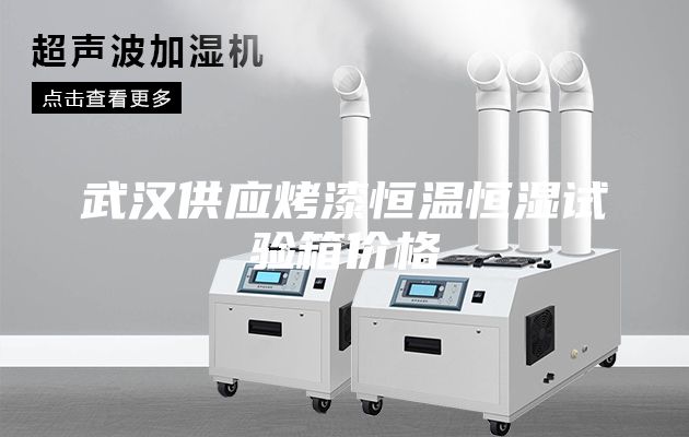 武汉供应烤漆恒温恒湿试验箱价格