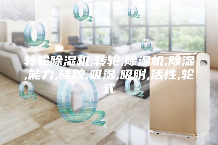 转轮除湿机,转轮,除湿机,除湿,能力,硅胶,吸湿,吸附,活性,轮式