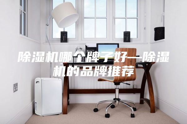 除湿机哪个牌子好—除湿机的品牌推荐