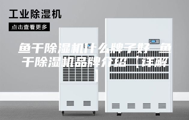 鱼干除湿机什么牌子好 鱼干除湿机品牌介绍【详解】